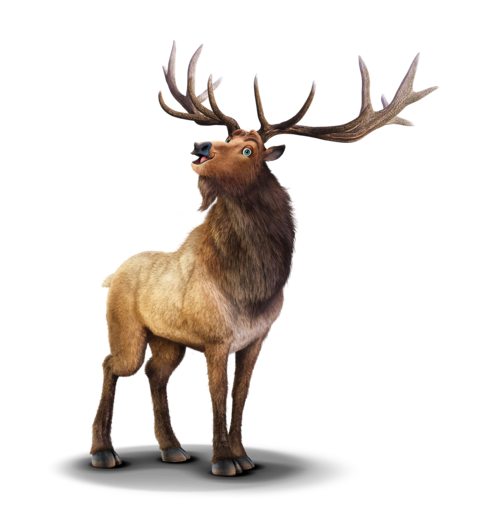 lawrence elk<br />
