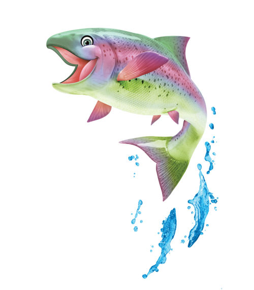 finn trout