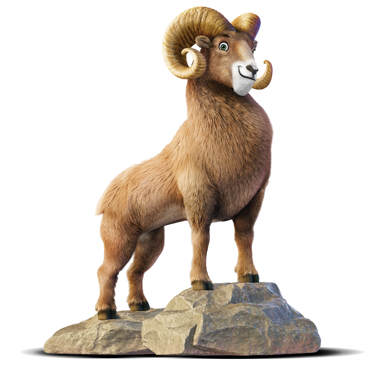 Ramsey Sheep